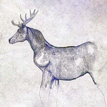 Yonezu Kenshi (요네즈 켄시) - Uma To Shika