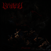 Beholder - Dualisme (LP)