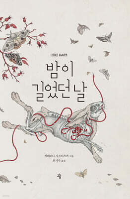 밤이 길었던 날 (큰글자도서)