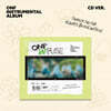 온앤오프 (ONF) - ONF INSTRUMENTAL ALBUM [INFUSE][CD ver.]