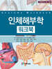 인체해부학 워크북