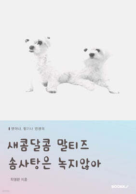 새콤달콤 말티즈 솜사탕은 녹지 않아