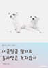 새콤달콤 말티즈 솜사탕은 녹지 않아
