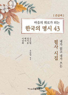 마음의 위로가 되는 한국의 명시 43 (큰글씨책)