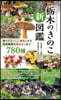 橡木のきのこ新圖鑑