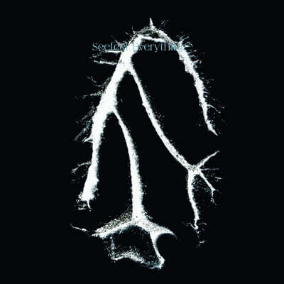 Seefeel (시필) - Everything Squared [LP]
