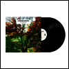 Ludovico Einaudi - In A Time Lapse (180g)(3LP) - Parco della Musica Contemporanea Ensemble