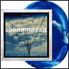 Joe Bonamassa - A New Day Now (20th Anniversary Remixed & Remastered) (180g Blue/White Sunburst Vinyl 2LP)