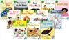 Sunshine Readers Level 4 : 12 Set Package