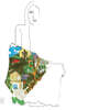Joni Mitchell (조니 미첼) - Ladies Of The Canyon [LP]