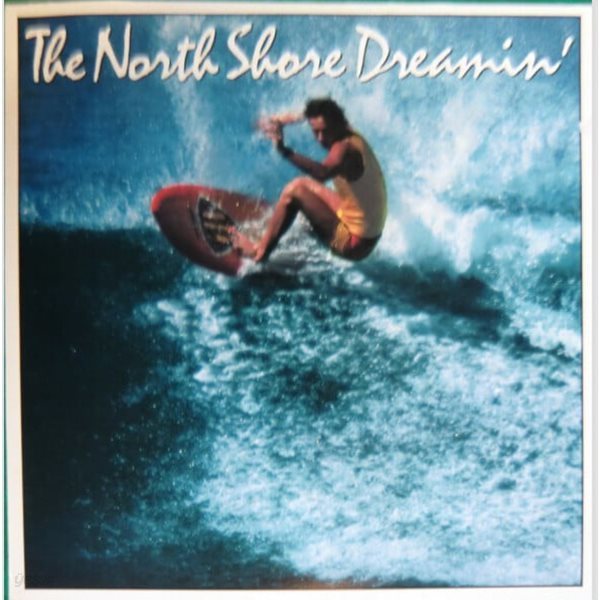 [일본반][LP] V.A - The North Shore Dreamin‘