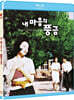 내마음의 풍금  (1Disc, 일반판) : 블루레이