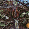Dragonfly - Dragonfly [LP]