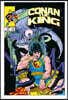 King Conan: The Original Comics Omnibus Vol. 2