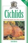 Cichlids