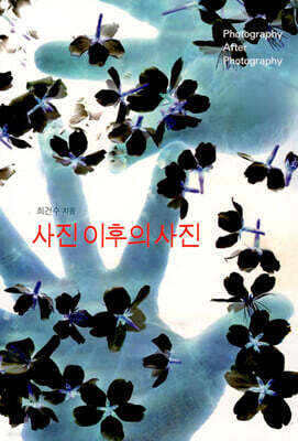 사진 이후의 사진