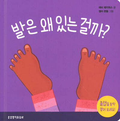 발은 왜 있는 걸까?