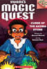 Kwame's Magic Quest #4:Curse of the Akoma Stone (A Branches Book)
