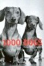 1000 Dogs