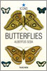 Seba, Butterflies