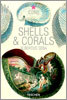 Seba Shells & Corals