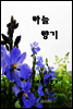 하늘향기