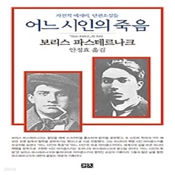 어느 시인의 죽음 (반양장)