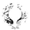 Sigur Ros (시규어 로스) - 3집 ( ) [투명 컬러 2LP+CD]