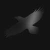 Sigur Ros (시규어 로스) - Odin's Raven Magic [2LP]