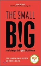 Small Big
