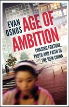 Age of Ambition