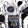 허원숙 - 하이든: 피아노 소나타 전곡 (Haydn: The Complete Piano Sonatas)