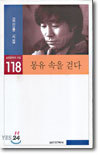 몽유속을 걷다