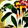 Jungle (정글) - Good Times / Problemz [LP]