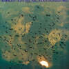 Mal Waldron (말 월드론) - Reminicent Suite [LP]
