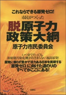 市民がつくった脫原子力政策大綱