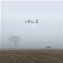 달콤한 소금 - 달소나무