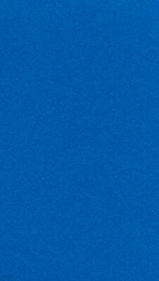 안규철의 질문들