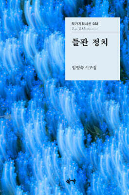 들판 정치