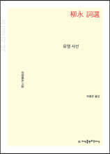 유영 사선 (큰글자책)