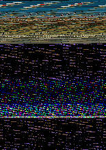 과학잡학사전 통조림 (동물편)