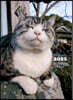岩合光昭ねこdiary&schedule 2025