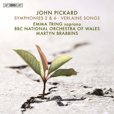 Martyn Brabbins 존 피카드: 교향곡 2번, 6번, 베를렌 노래 [챔버 오케스트라를 위한 버전] (John Pickard: Symphonies 2 & 6, Verlaine Songs)