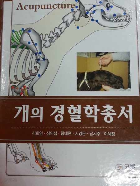 개의 경혈학총서 - Canine Acupuncture / 710쪽