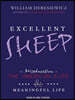 Excellent Sheep