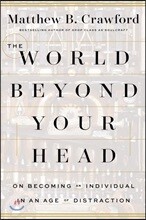 The World Beyond Your Head