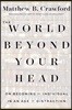 The World Beyond Your Head