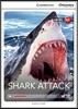 Shark Attack