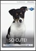 So Cute!