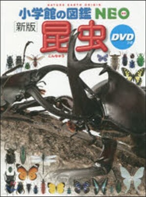 昆蟲 新版